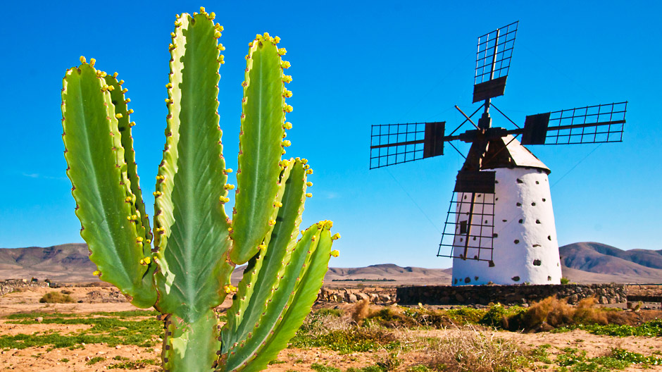 Fuerteventura, Kanaari saared