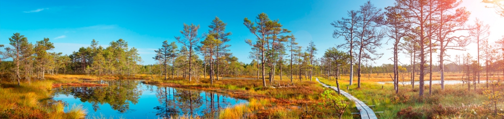 header-bg-estonia-v2
