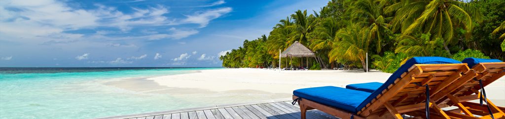 header-bg-main-alternative