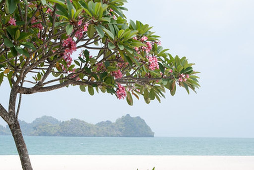 Malaisia, Kuala Lumpur-Langkawi