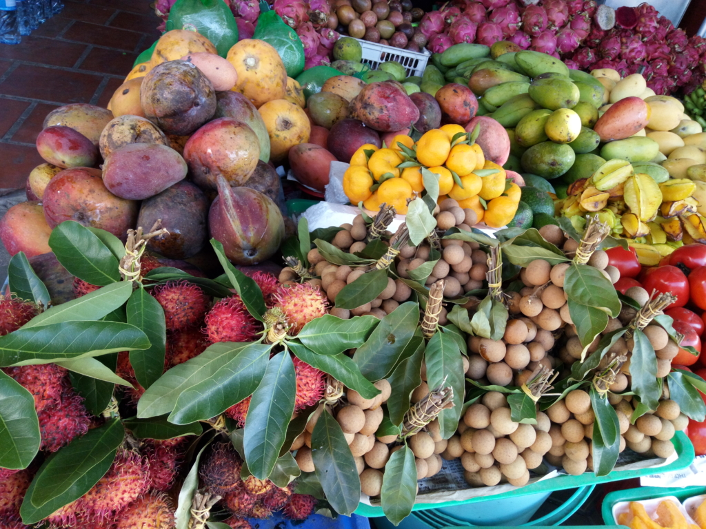 Vietnam – eksootiline Kagu-Aasia aare